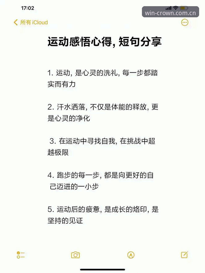资深用户分享皇冠体育平台使用心得——从新手到老手的实战经验